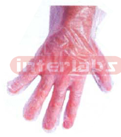 GLOVES - Polythene